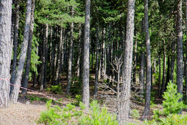 Κάντε κλικ για να δείτε την εικόνα σε πλήρες μέγεθος