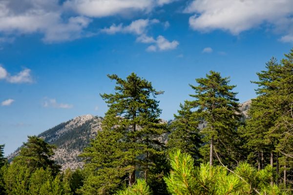 Κάντε κλικ για να δείτε την εικόνα σε πλήρες μέγεθος