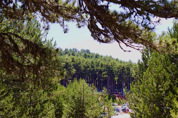 Κάντε κλικ για να δείτε την εικόνα σε πλήρες μέγεθος