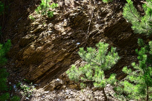 Κάντε κλικ για να δείτε την εικόνα σε πλήρες μέγεθος