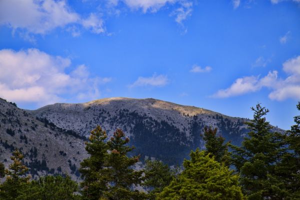 Κάντε κλικ για να δείτε την εικόνα σε πλήρες μέγεθος