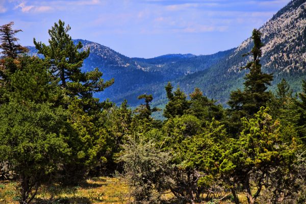 Κάντε κλικ για να δείτε την εικόνα σε πλήρες μέγεθος