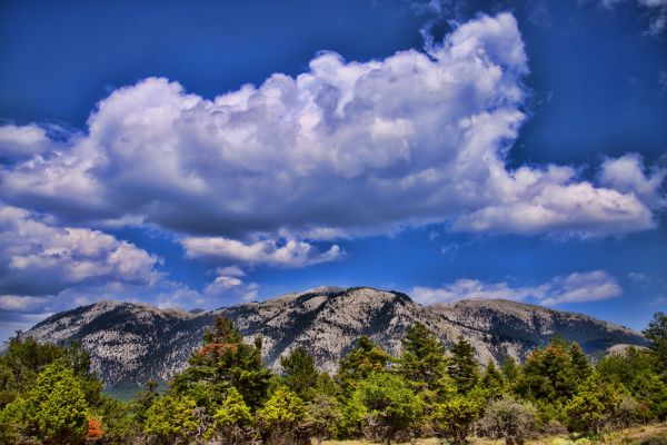 Κάντε κλικ για να δείτε την εικόνα σε πλήρες μέγεθος