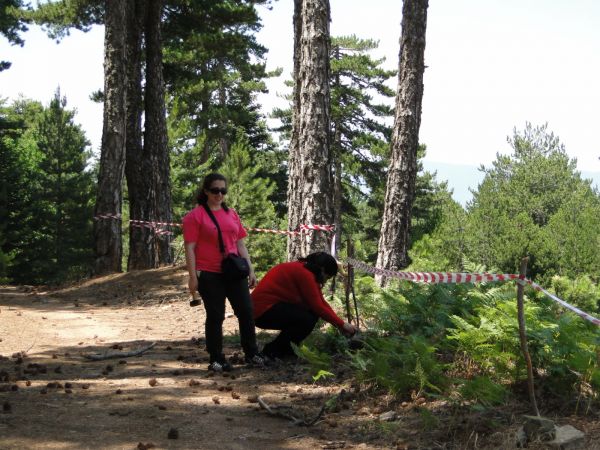 Κάντε κλικ για να δείτε την εικόνα σε πλήρες μέγεθος