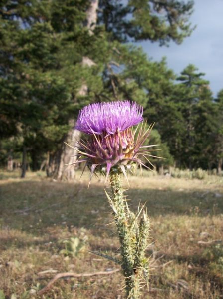 Κάντε κλικ για να δείτε την εικόνα σε πλήρες μέγεθος