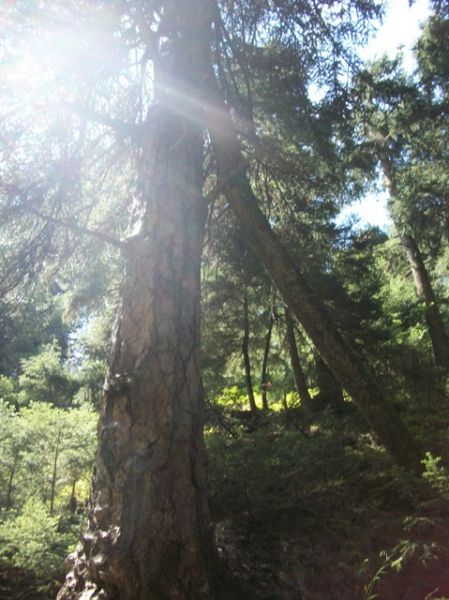 Κάντε κλικ για να δείτε την εικόνα σε πλήρες μέγεθος