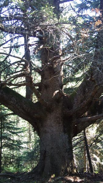 Κάντε κλικ για να δείτε την εικόνα σε πλήρες μέγεθος